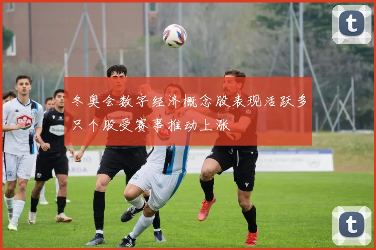 冬奥会数字经济概念股表现活跃多只个股受赛事推动上涨