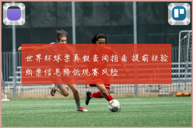 世界杯球票真假查询指南 提前核验购票信息降低观赛风险