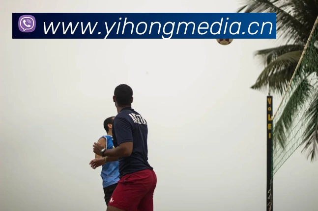 k体育直播官网(官方)登录入口平台生态图