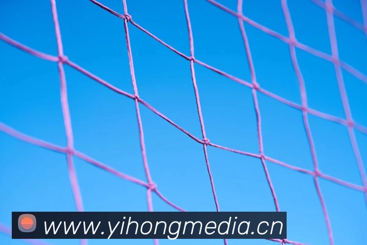 k体育直播官网(官方)登录入口APP 封面图